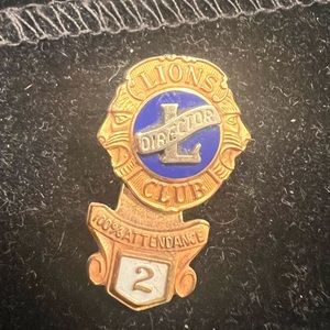Lions Club it’s two part pin. Lots of detail colors. Gold tone, Director pin